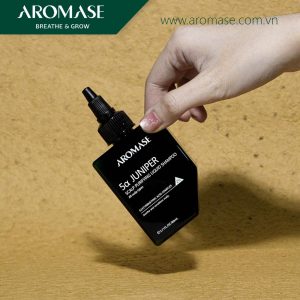 2 BƯỚC AROMASE NGĂN RỤNG VÀ MỌC TÓC: TẨY TẾ BÀO CHẾT + DẦU GỘI 6