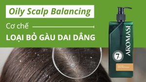 Cơ chế loại bỏ gàu dai dẳng từ Dầu gội trị gàu Oily Scalp Balancing 1